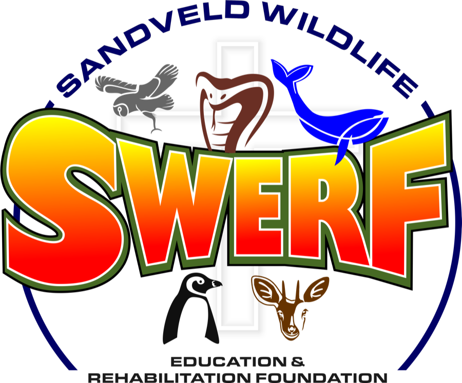 SWERF – Sandveld Wildlife Education & Rehabilitation Foundation logo
